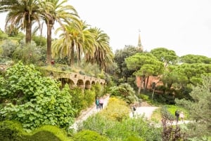 Barcelone : Sagrada Família, tours et parc Güell coupe-file