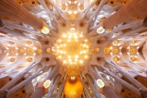 Sagrada Familia con torres y parque Güell: tour sin colas