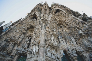 Seilopplevelse, Sagrada Familia og Park Guell