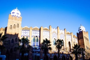 Barcelona Segway Tour: ❤️Gaudi Highlights❤️