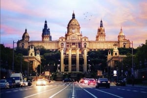 Semi-privat Barcelona Gothic, Parc Guell & Sagrada Familia