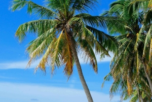 Sint Maarten: przejażdżka konna o zachodzie słońca i ognisko