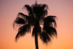 Sint Maarten: przejażdżka konna o zachodzie słońca i ognisko