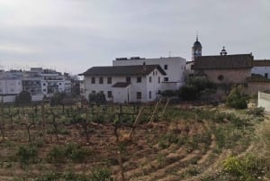 Sitges: Zeilboottocht + wandeltour en wijnkeldertour