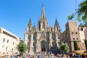 Catedral de Barcelona sin colas con guía privado