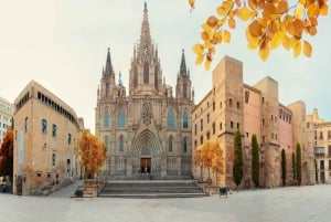 La cathédrale de Barcelone avec un guide privé