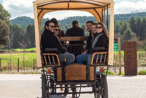 From Barcelona: Montserrat Abby, Winery, and Carriage Tour