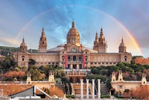 Skip-the-line-tur till National Art Museum och Poble Espanyol