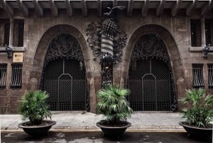 Hopp over køen privat tur til Güell-palasset av Gaudi