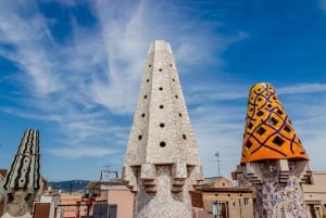 Skip-the-Line privérondleiding door het Güell-paleis door Gaudi