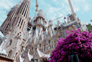 Barcelona: Güell-puisto & La Sagrada Familia -liput ja kiertoajelu