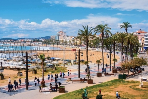 Tarragona & Sitges Small Group Full-Day Tour