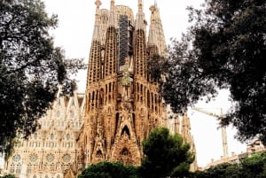 Tour+Ticket: Lights & Shadows of the Sagrada Familia