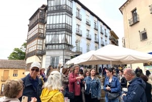 Tour Toledo y Segovia, 8 destinos imprescindibles (tutustumiskohteita)