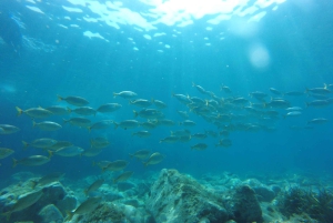 Excursão Costa Brava: Trilhas costeiras, mergulho com snorkel, mergulho de penhascos e refeição