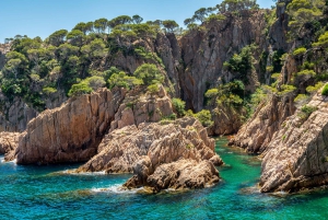 Excursão Costa Brava: Trilhas costeiras, mergulho com snorkel, mergulho de penhascos e refeição