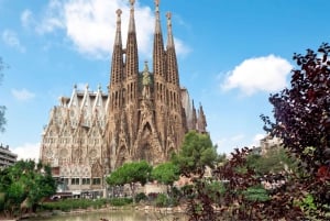 Barcelona: Opastettu kierros Sagrada Familiassa