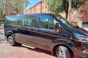 Transfer from Cruise Terminal to barcelona city