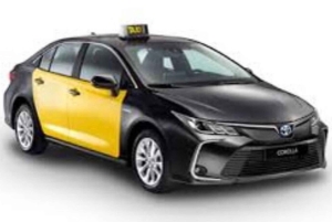 Transfer from Cruise Terminal to barcelona city