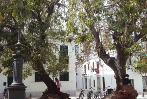 Usædvanlig cykeltur i Barcelona på fransk