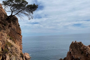 Via Ferrata -seikkailu Costa Bravalla + kuljetus