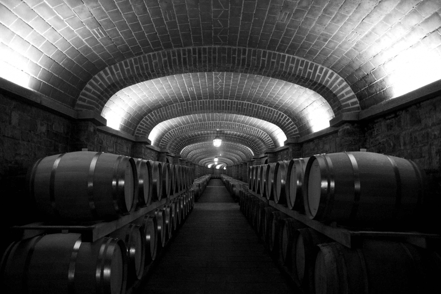 Wine Cellar Visit with tasting from Barcelona