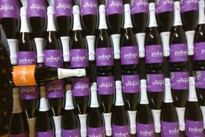 Votre cava, votre histoire – Expérience œnologique chez Artcava