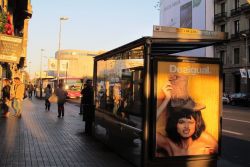 Barcelona Airport: N16 and N17 Night Bus: Transfer Bus between Airport and Plaça Catalunya via Plaça Espanya