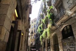 Barcelona Districts, Old City - El Gòtic