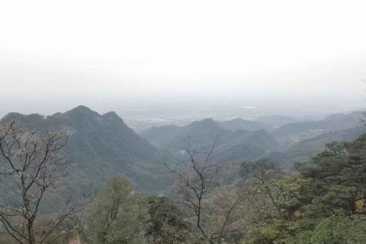 Tour di 1 giorno del Monte Qingcheng e del sistema di irrigazione di Dujiangyan