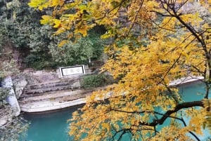 1-Day Mount Qingcheng and Dujiangyan Irrigation System Tour