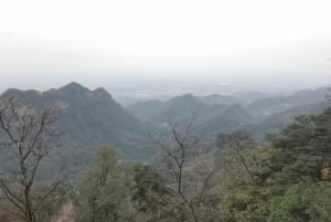 1-Day Mount Qingcheng and Dujiangyan Irrigation System Tour