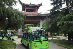 1-Day Mount Qingcheng and Dujiangyan Irrigation System Tour