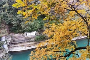 Tour di 1 giorno del Monte Qingcheng e del sistema di irrigazione di Dujiangyan