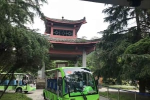 Tour di 1 giorno del Monte Qingcheng e del sistema di irrigazione di Dujiangyan