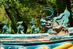 Peking & Shanghai: 6 dagar visumfritt i Kina!