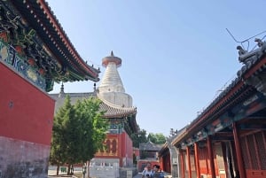 Beijing: 2.5-Hour Walking Tour of Historic Landmarks