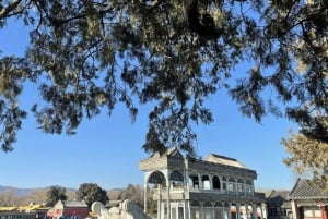 Pechino: tour privato di 2 giorni con la Grande Muraglia e la Città Proibita