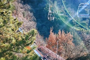 Beijing 2-Day Highlights including Great Wall with Options