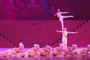 Peking: Akrobatisk show med middag med pekingankor Privat rundtur