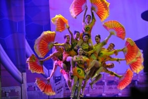 Peking: Akrobatisk show med middag med pekingankor Privat rundtur