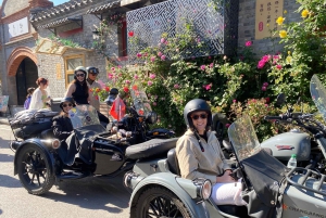 Peking: Stadsvandring med sidvagn genom den antika och moderna staden (dag/kväll)