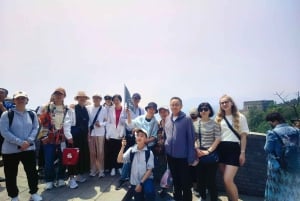 Beijing: Badaling Great Wall Private Tour w Language Option