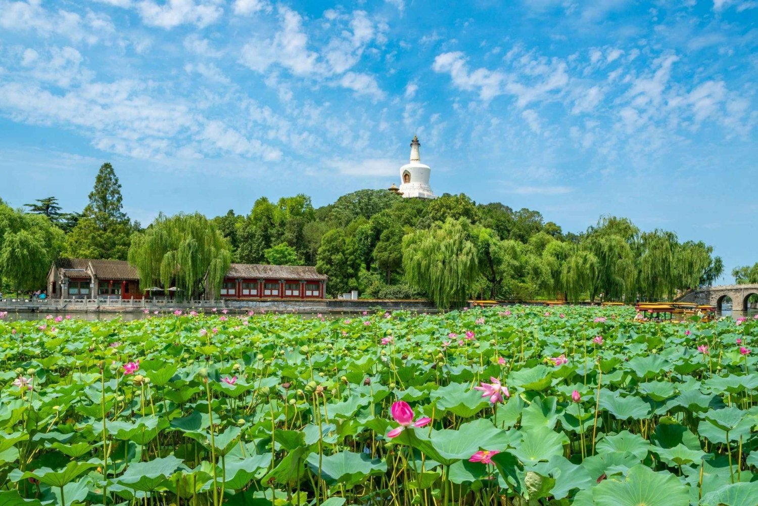 Pekín：Servicio de reserva de ticket electrónico para el Parque Beihai