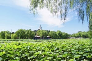 Peking: Beihai Park Full Access Ticket - Must-See in China (pakollinen nähtävyys Kiinassa)