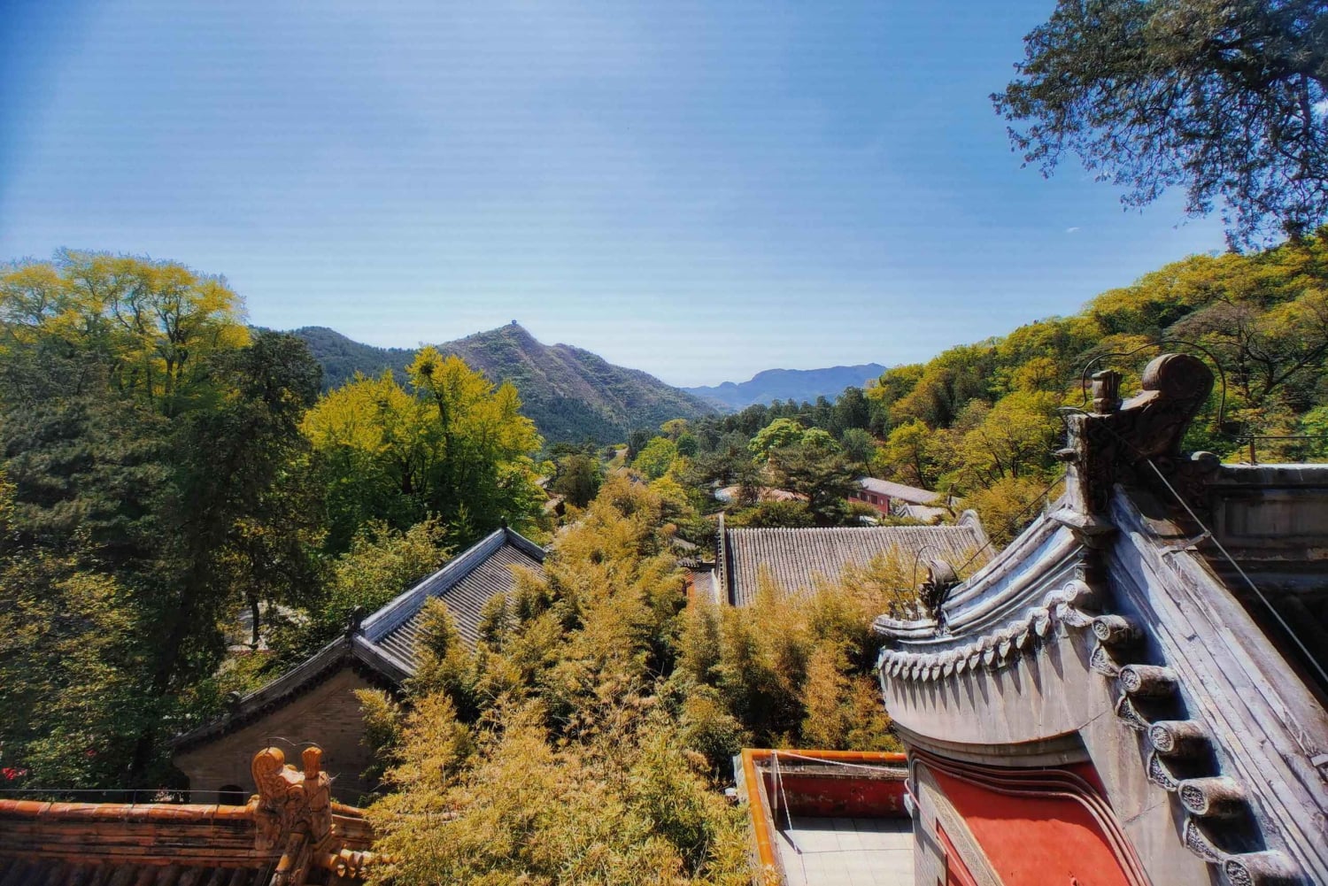 Excursion d'une journée à Beijing pour découvrir les attractions du bouddhisme（avec options）