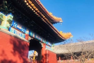 Excursion d'une journée à Beijing pour découvrir les attractions du bouddhisme（avec options）