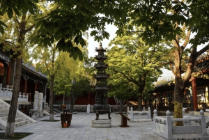 Pekín: tour de 1 día en tren bala al templo Shaolin y artes marciales