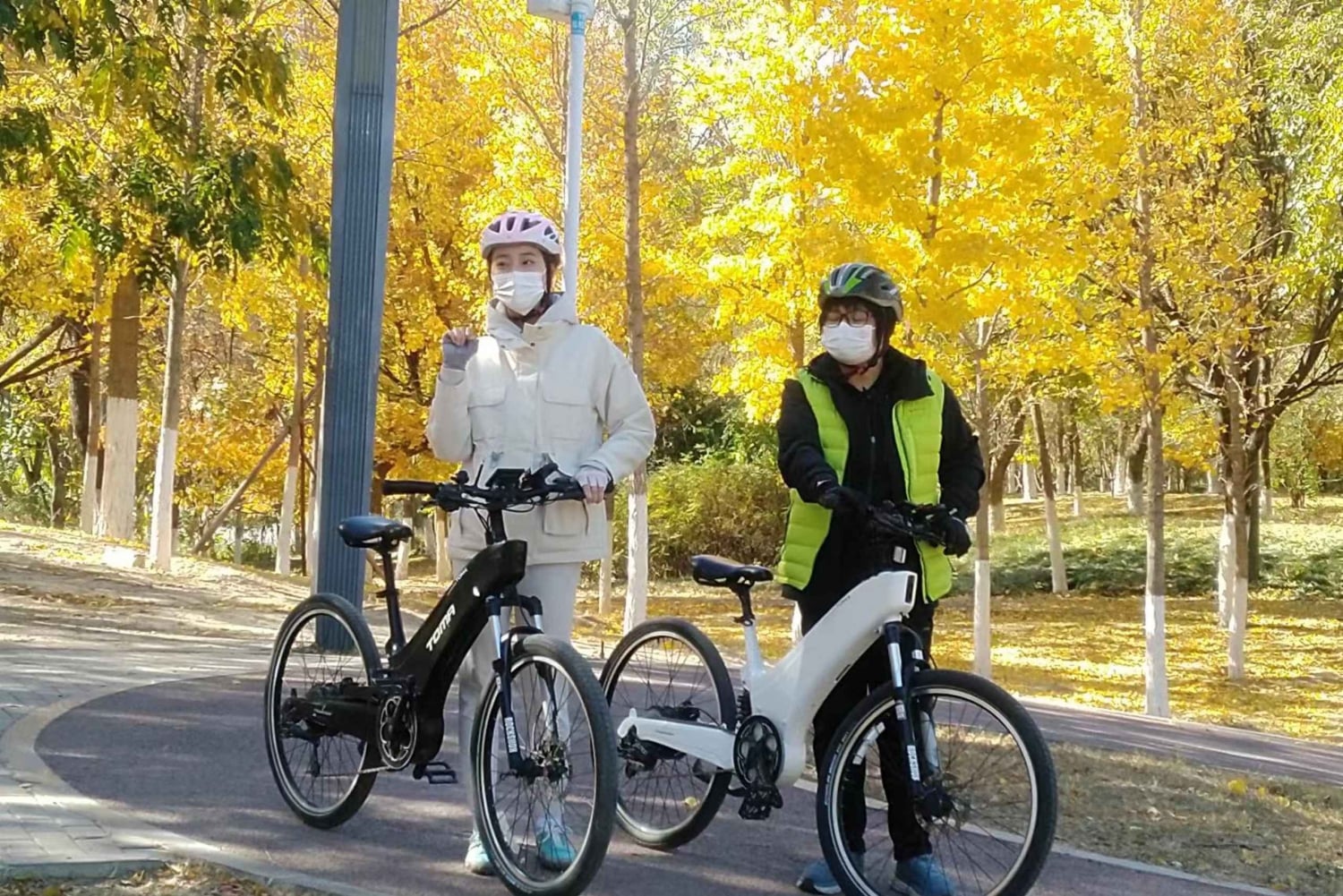 北京中心軸電動自転車ツアー：王朝の見どころをご案内します