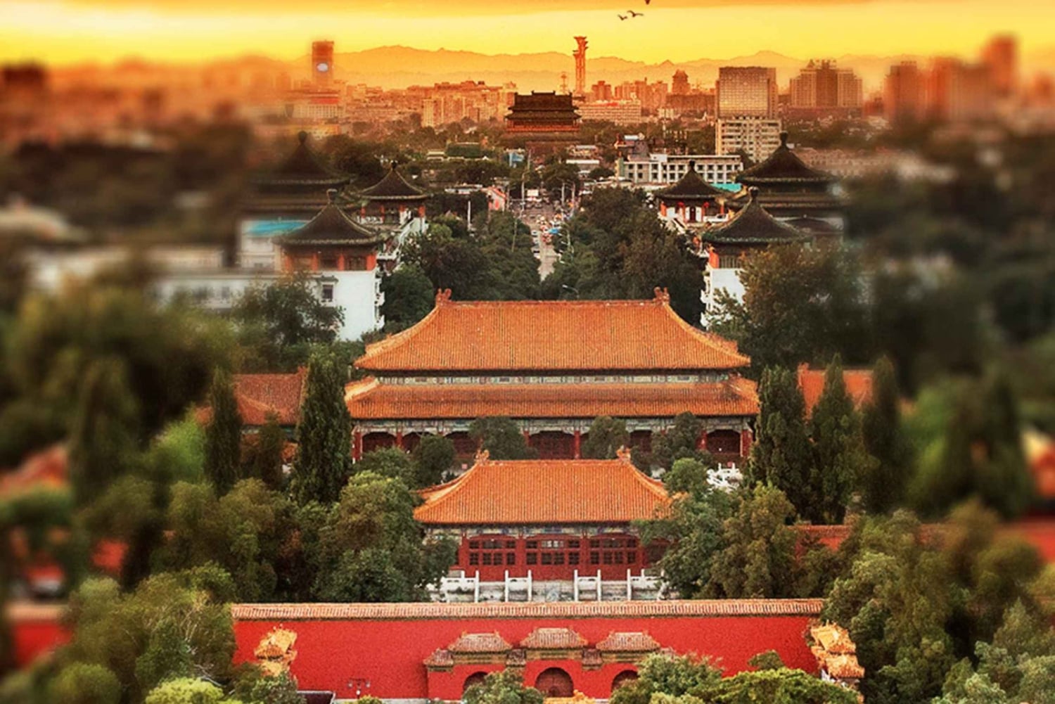 北京中心軸電動自転車ツアー：王朝の見どころをご案内します